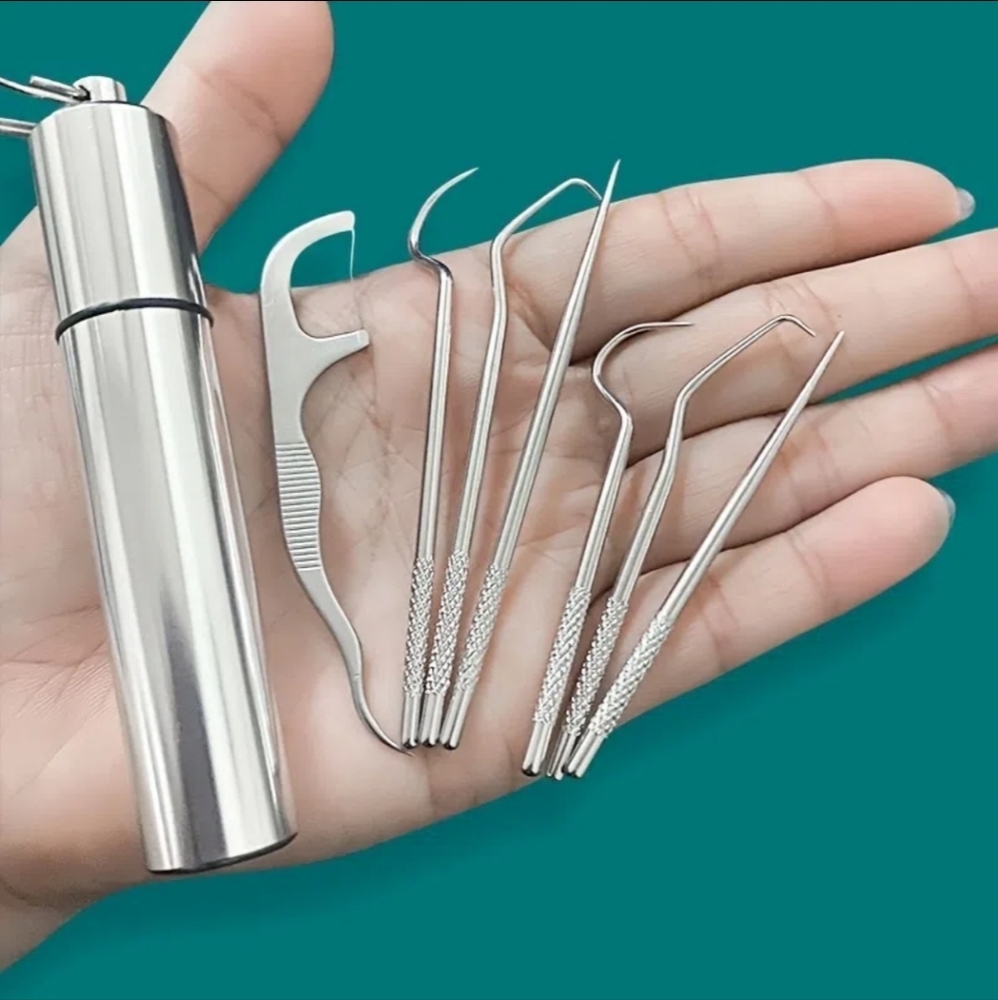 Stainless Steel Toothpicks Pocket Set